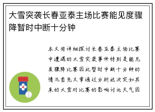 大雪突袭长春亚泰主场比赛能见度骤降暂时中断十分钟